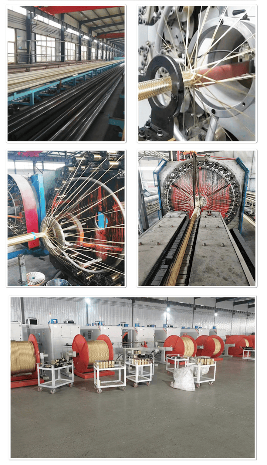 截屏2025-01-14 09.52.37.png